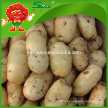 2015 nuevas patatas maduras Patata dulce congelada china en venta